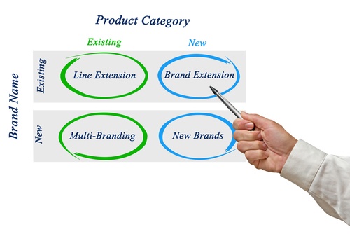 a new perspective on brand extendibility brand extension
